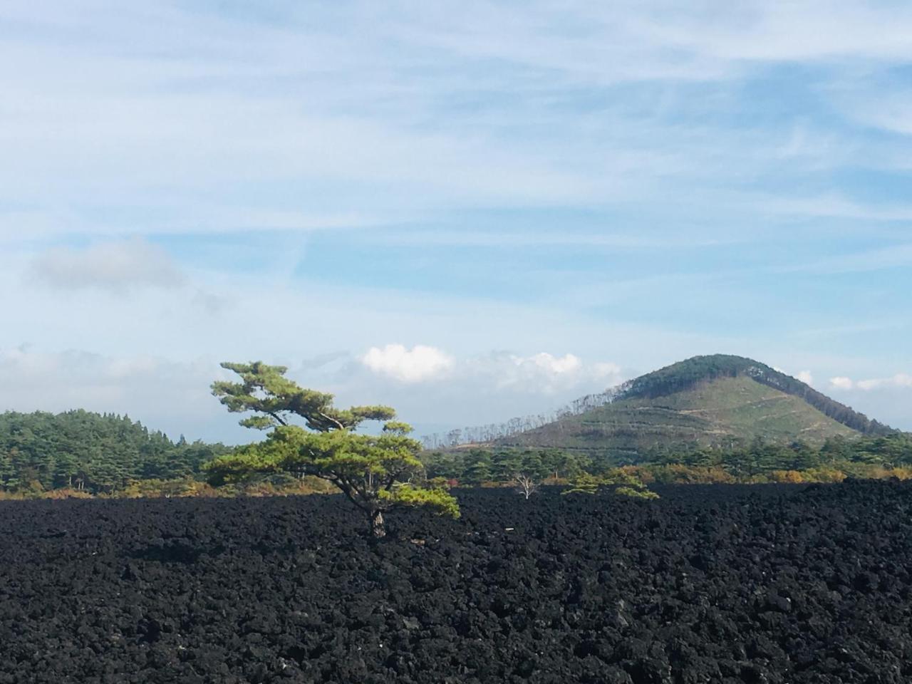 温泉ゲストハウス やすもり 本館 Hachimantai  Экстерьер фото