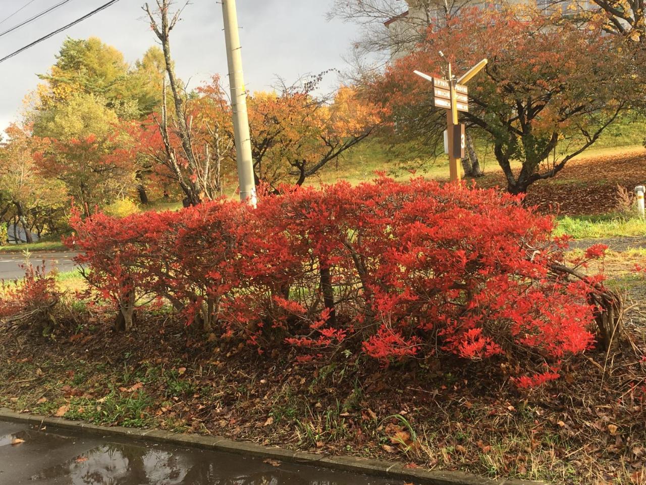 温泉ゲストハウス やすもり 本館 Hachimantai  Экстерьер фото