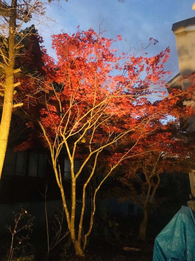 温泉ゲストハウス やすもり 本館 Hachimantai  Экстерьер фото